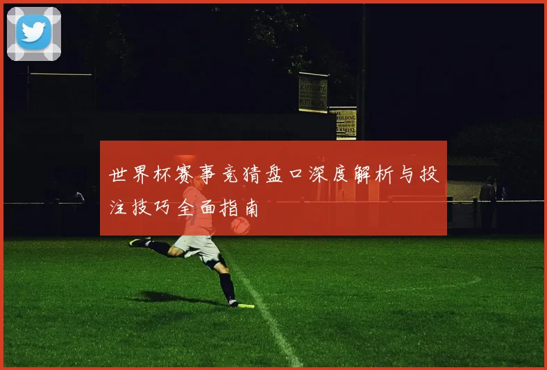 世界杯赛事竞猜盘口深度解析与投注技巧全面指南