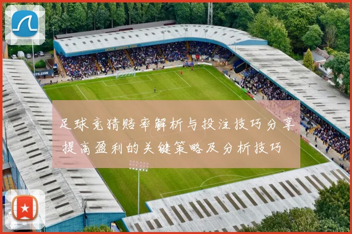 足球竞猜赔率解析与投注技巧分享 提高盈利的关键策略及分析技巧