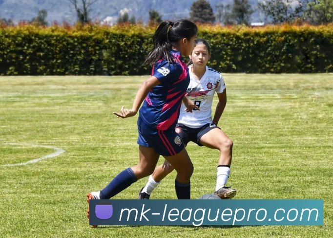 MK体育平台展示图